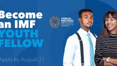 A picture of the IMF Youth Fellowship program