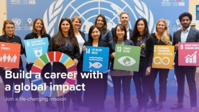 UNDP is recruiting for a Home based Green Energy Support Engineer Internship: APPLY NOW!