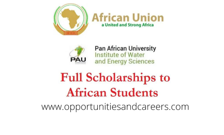 A picture PAN AFRICAN UNIVERSITY Scholarship