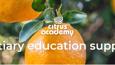 Image of Citrus-Academy-Bursary-program