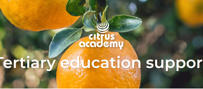 Image of Citrus-Academy-Bursary-program