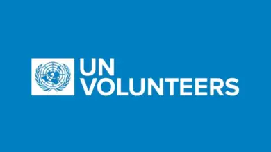 Apply for the International UN Volunteer Specialist Opportunity as Quality Assurance Risk Officer!