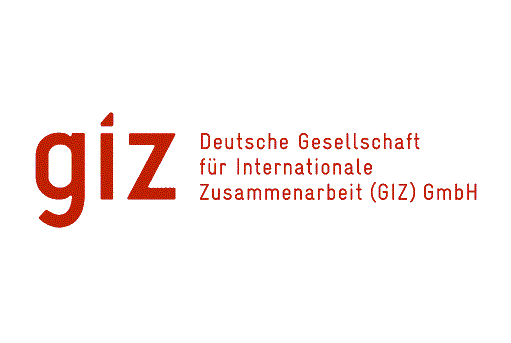 Get to Know GIZ (Deutsche Gesellschaft für Internationale Zusammenarbeit): A Comprehensive Guide to the Development Organization