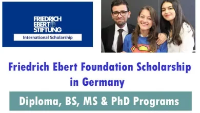 Friedrich Ebert Foundation scholarship