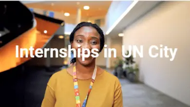 7 Paid UN City Copenhagen Internships at UNDP You Don't Want to Miss: APPLY NOW!