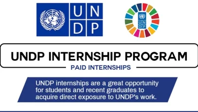 UNDP is recruiting for Paid Software Developer Internship: APPLY NOW!