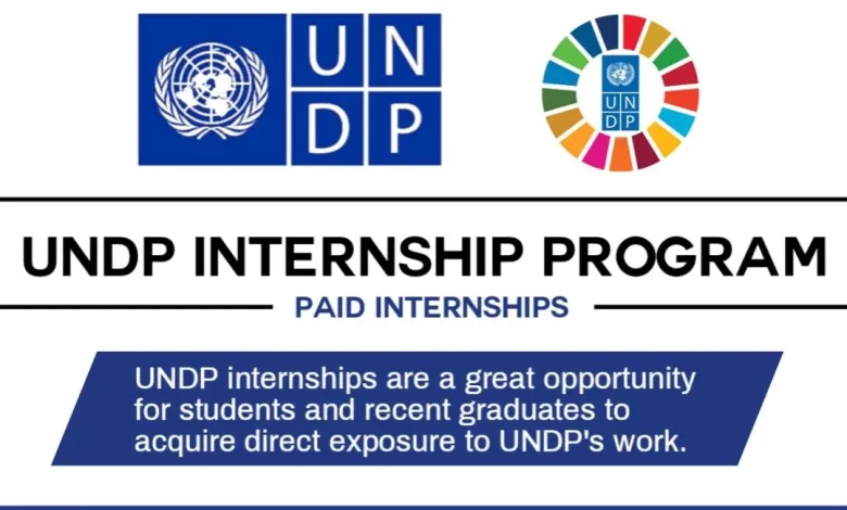 UNDP Global Call for 2024: Home-based Digital Transformation Internship (multiple positions)