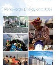 Apply Today: Top IRENA P4 Vacancies with Limited Time Left