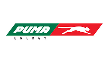20+ Puma Energy jobs in multiple countries