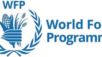 World Food Programme is recruiting for a Procurement Intern based in Dubai (US$1000 per month): APPLY NOW!