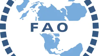 FAO is recruiting for a Home-based Climate Finance Specialist: APPLY NOW!