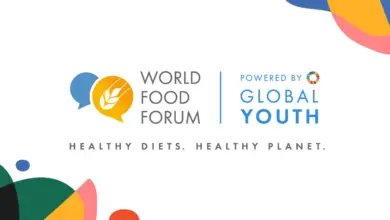 Call for Expression of Interest – FAO Volunteer Programme for the World Food Forum (WFF) 