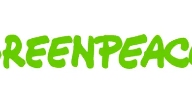 Greenpeace International is Recruiting for Head of Global Learning and Development