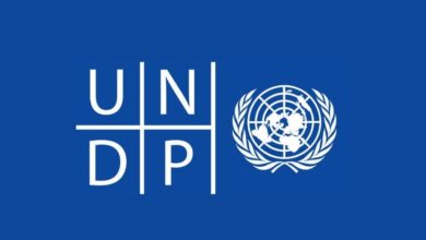 UNDP is looking for a Home-based Project Analyst: APPLY NOW!