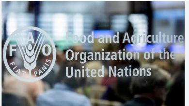 Applications are now open for the 2024 FAO Regular Volunteers Programme for Africa (RAF)!