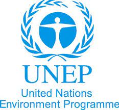 UNEP is looking for a Senior Website Assistant: APPLY NOW!
