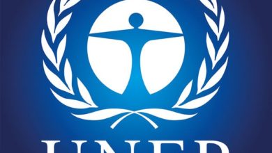 UNEP is looking for a Senior Budget and Finance Officer: APPLY NOW!