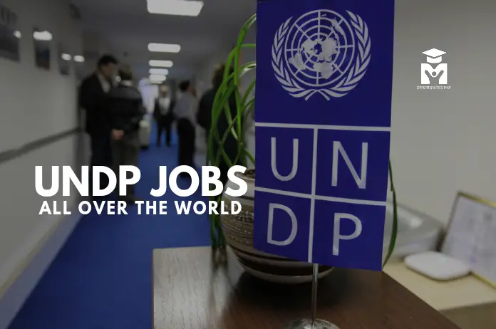Home-Based Research Analyst - Gender Equality at UNDP: APPLY NOW!