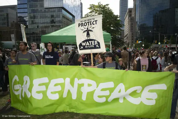 Remote job opportunity: Associate Legal Counsel Organisation at Greenpeace International