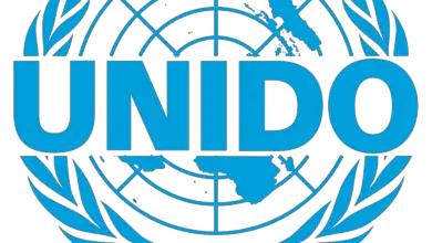 X2 International Intern Vacancies (Regional level) at UNIDO: APPLY NOW!