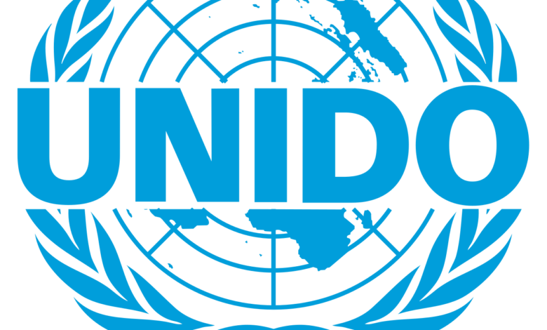 X2 International Intern Vacancies (Regional level) at UNIDO: APPLY NOW!