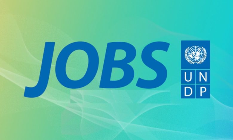 25+ Exciting UNDP Gender Equality Jobs: APPLY NOW!