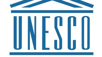 Call for Application - UNESCO Consultant on Research and Policy Analysis (remote role): APPLY NOW!