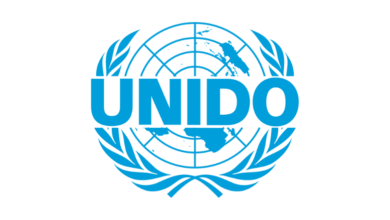 UNIDO is recruiting for a Home based International Gender Specialist: APPLY NOW!