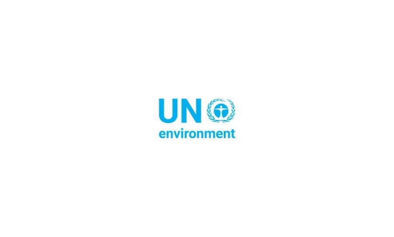 12 new International UN Volunteer specialist for UNEP-UNV Young Talent Pipeline Programme