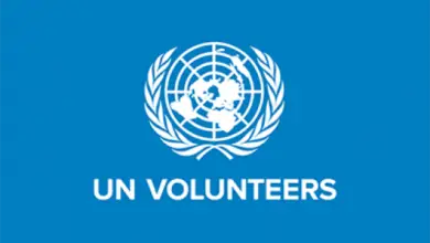 UNDP/ UN Volunteer Faces of Africa Social Media Campaign Programme (multiple positions)