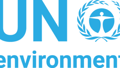73 Exciting UNEP Job Vacancies Across Multiple Disciplines