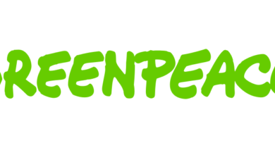 Apply for Greenpeace Remote Vacancy: Legal Counsel - Campaigns