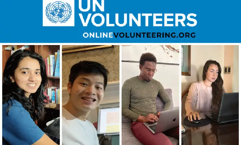 Top Remote UN Volunteer Opportunities for Humanitarian Work