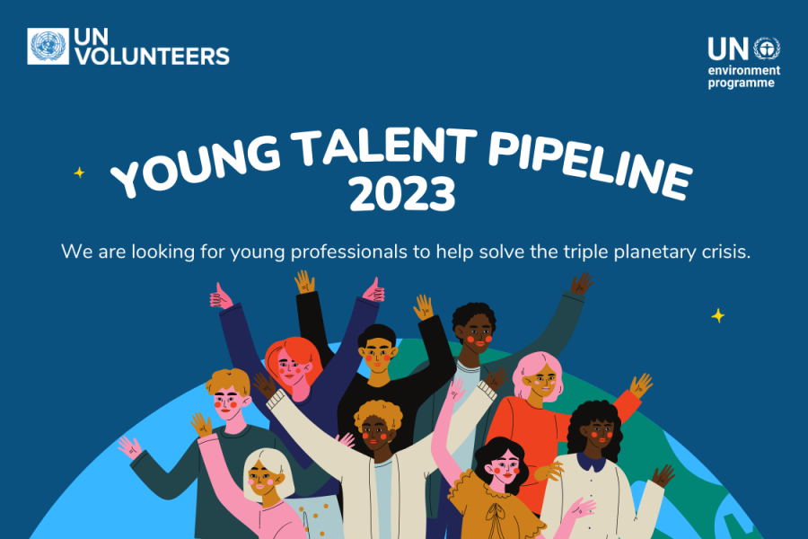 UNEP-UNV Young Talent Pipeline Programme