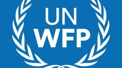 Cash-based Transfer Consultants at wfp