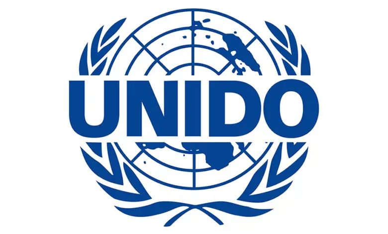 UNIDO is recruiting for x2 Industrial Development Experts in different locations: APPLY NOW!