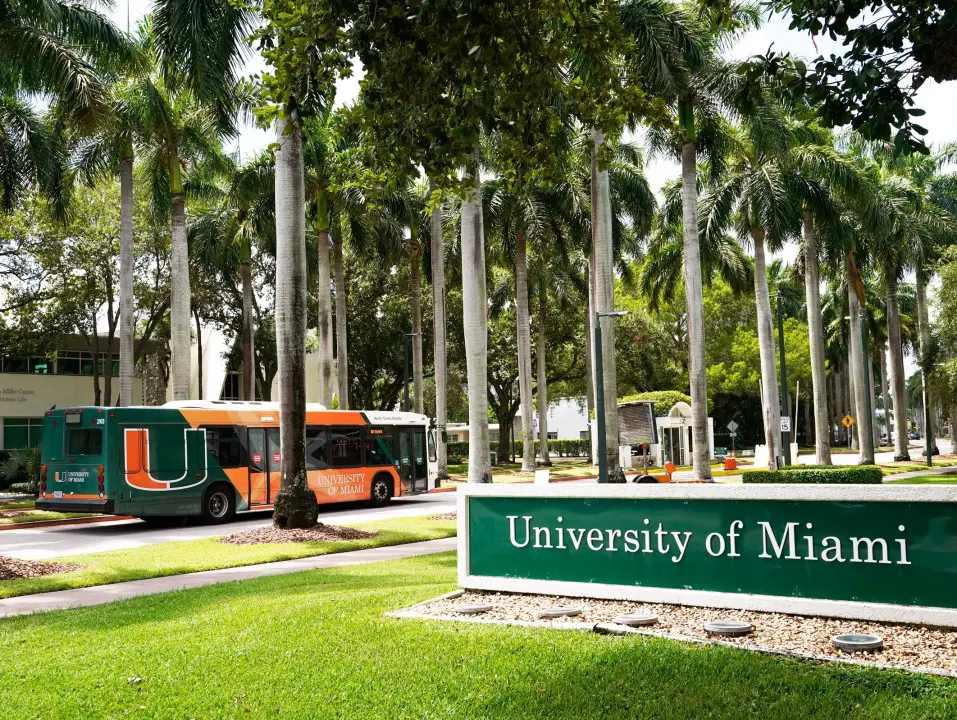 Fully Funded University of Miami Stamps Scholarship APPLY NOW