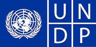 UNDP is recruiting for a Home Based Digital Project Analyst: APPLY NOW!