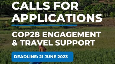COP 28 Travel Support Application for Underrepresented Groups
