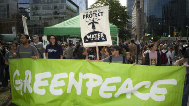 Greenpeace is hiring for Remote Job Opportunity- Global Learning and Development Manager: APPLY NOW!