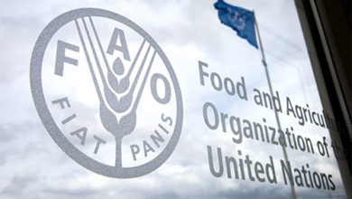 2024 FAO Regular Volunteers Programme for Latin America and the Caribbean (RLC)