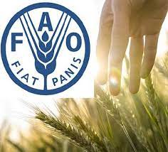 Applications are now open for the 2024 FAO Fellows Programme! Photo of Admin