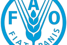 FAO is recruiting for a Home-based International GCF Accreditation Specialist: APPLY NOW!