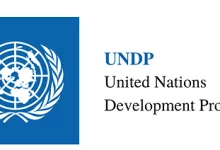 Apply for the Home-Based UNDP Internship – Sustainable Finance Data Analyst!