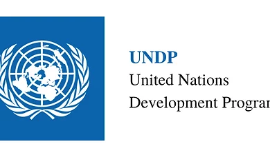 Apply for the UNDP Impact Investing Research Fellowship (paid fellowship)!