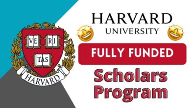 The Harvard Academy Scholars Program (Annual stipend of $75,000)
