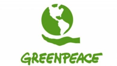 Greenpeace International is Hiring for a Paid Global HR Intern - Data Insight role