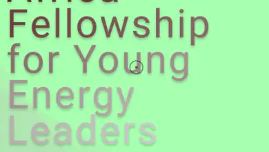 Apply for the Africa Fellowship for Young Energy Leaders (AFYEL)to train young African recent graduates