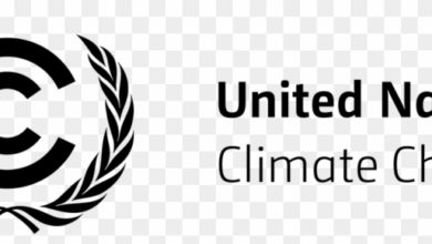 UNFCCC Internship vacancy