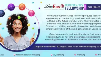 WomEng Southern Africa Fellowship 2023